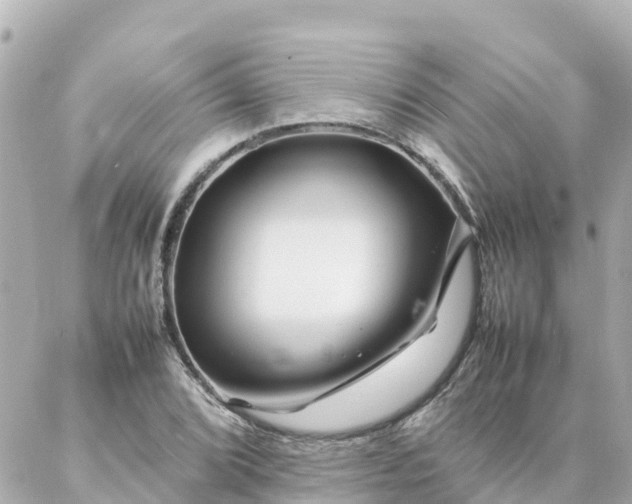 X0000086991072200704231839