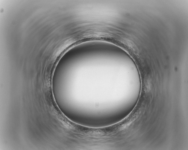 X0000086991073200704231839