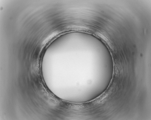 X0000086991074200704231839