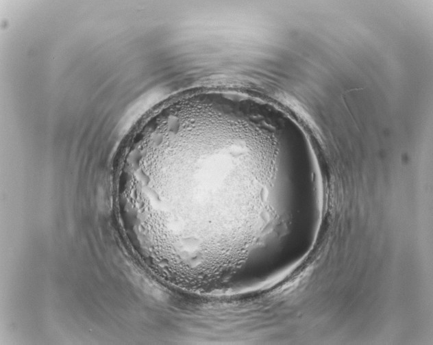 X0000086991075200704231839