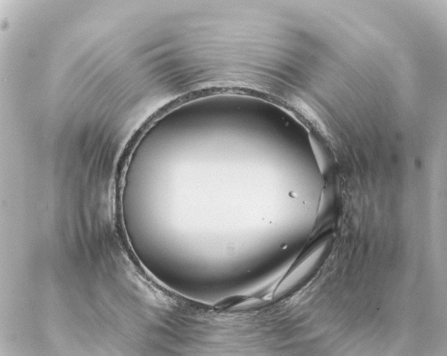 X0000086991076200704231839