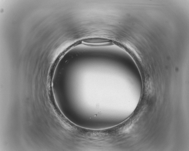 X0000086991077200704231839