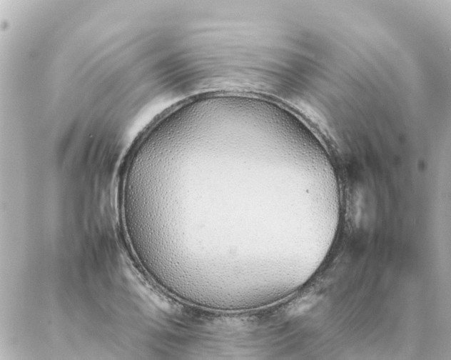 X0000086991078200704231839