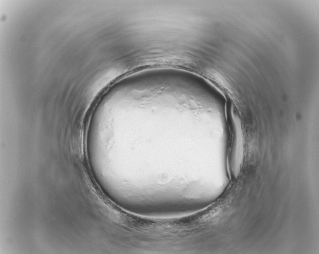 X0000086991079200704231839