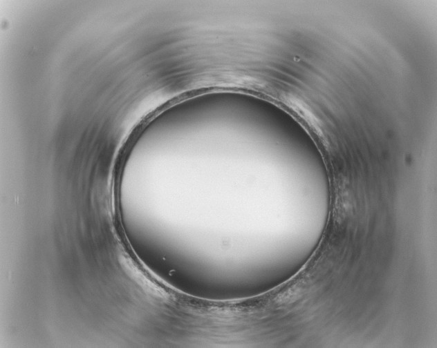 X0000086991080200704231839