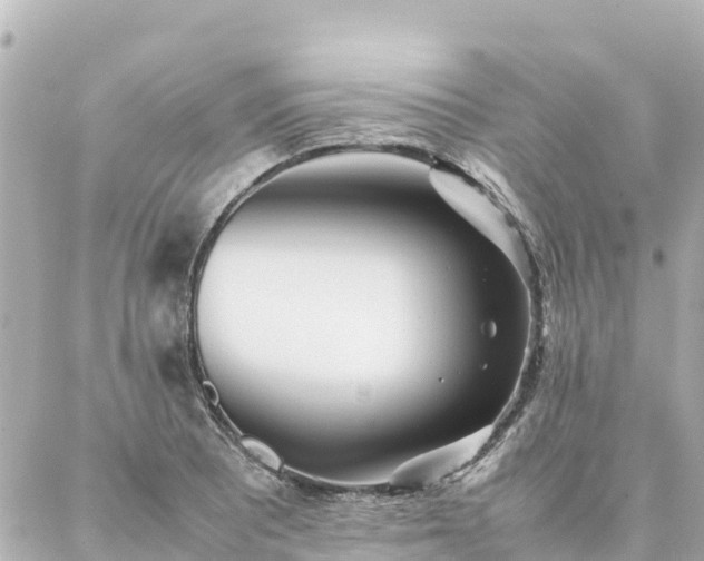 X0000086991081200704231839