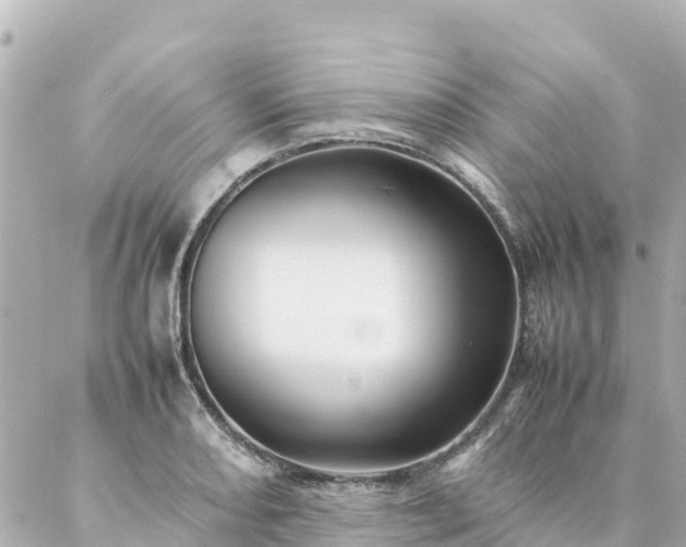 X0000086991082200704231839