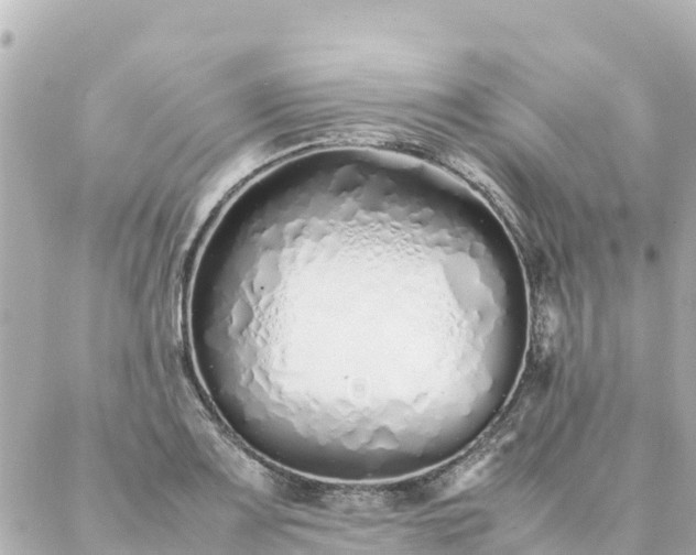 X0000086991083200704231839