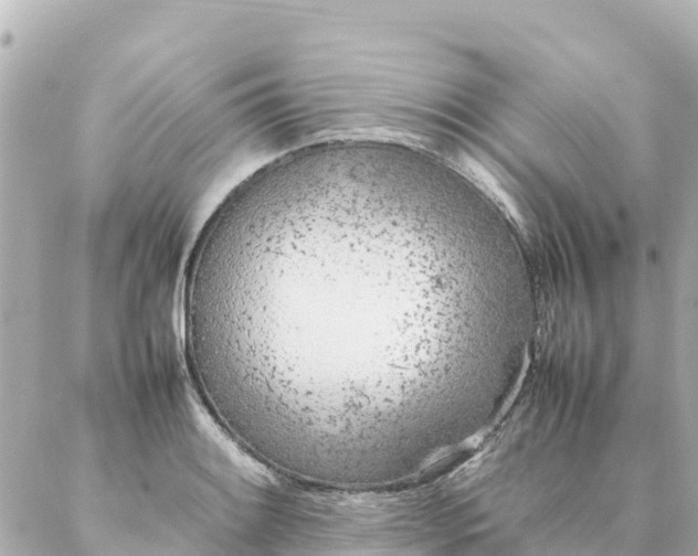 X0000086991084200704231839