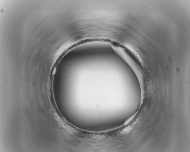 X0000086991085200704231839