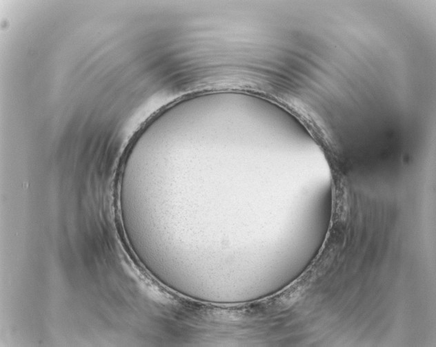 X0000086991086200704231839