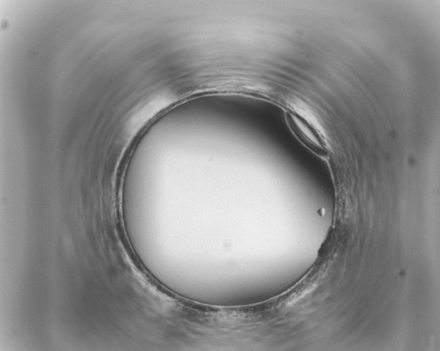 X0000086991087200704231839