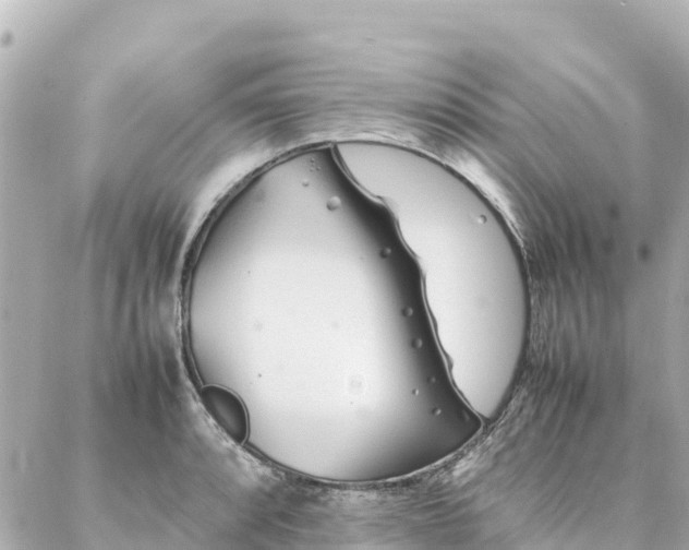 X0000086991088200704231839