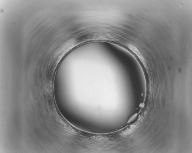 X0000086991089200704231839