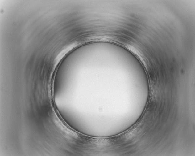 X0000086991090200704231839