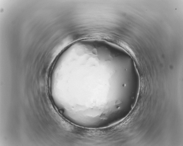 X0000086991091200704231839