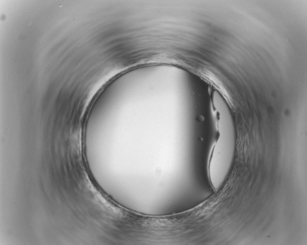 X0000086991092200704231839