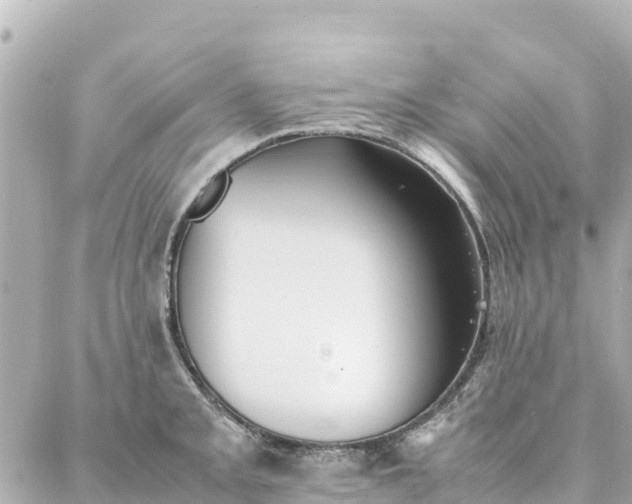 X0000086991093200704231839