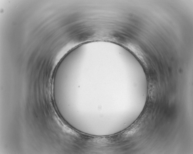 X0000086991094200704231839