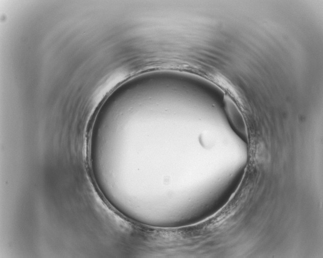 X0000086991095200704231839