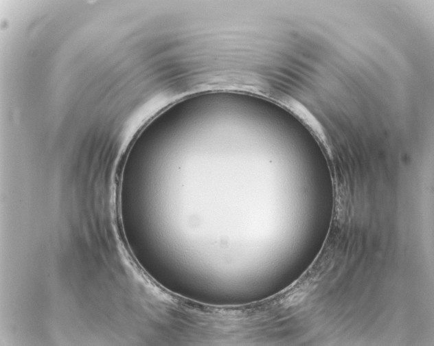 X0000086991096200704231839