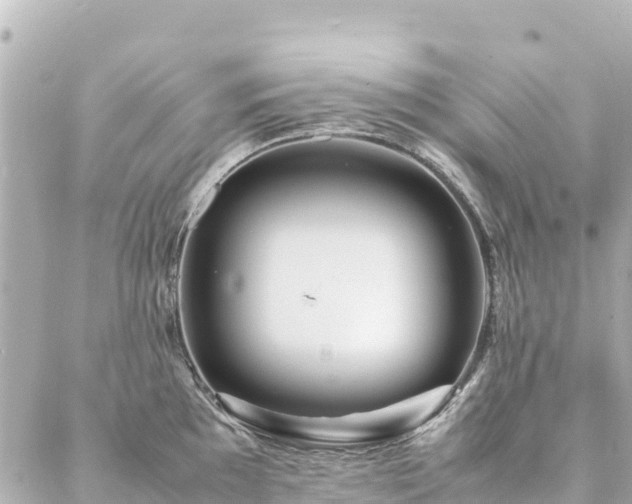 X0000086991097200704231839