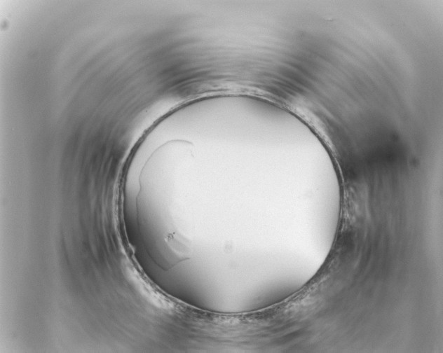 X0000086991098200704231839