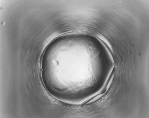 X0000086991099200704231839