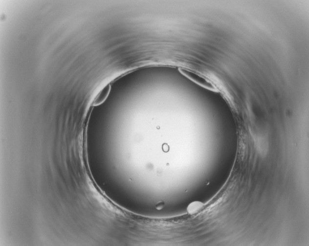 X0000086991100200704231839