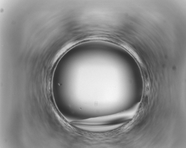 X0000086991101200704231838