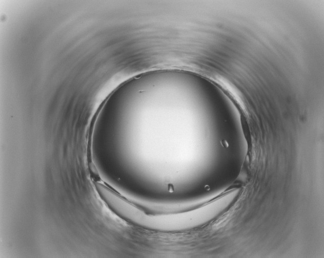 X0000086991102200704231838