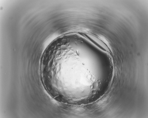 X0000086991103200704231838