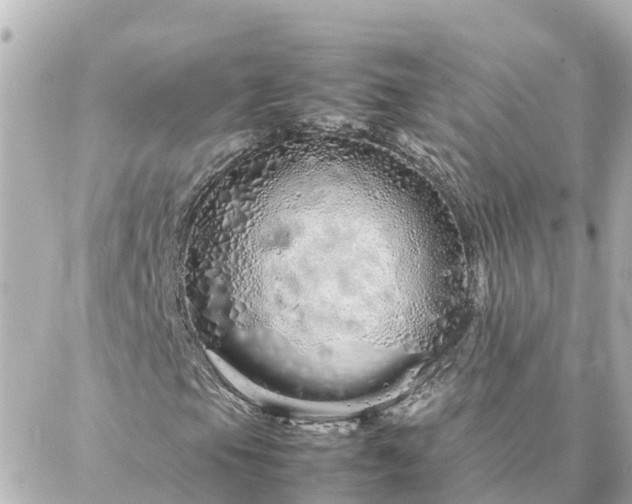 X0000086991105200704231838