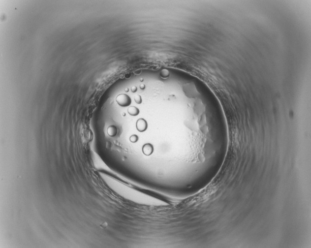 X0000086991106200704231838