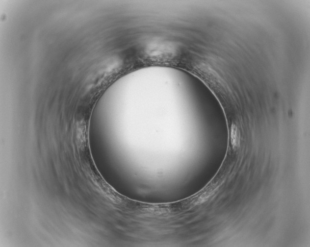 X0000086991107200704231838