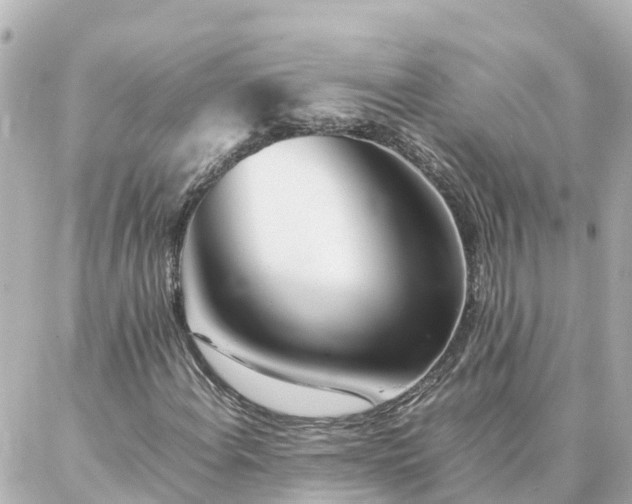 X0000086991108200704231838