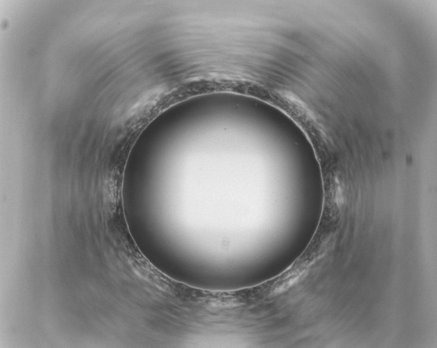 X0000086991110200704231838