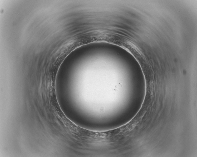 X0000086991111200704231838