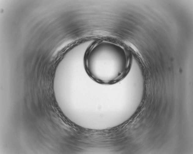 X0000086991112200704231838