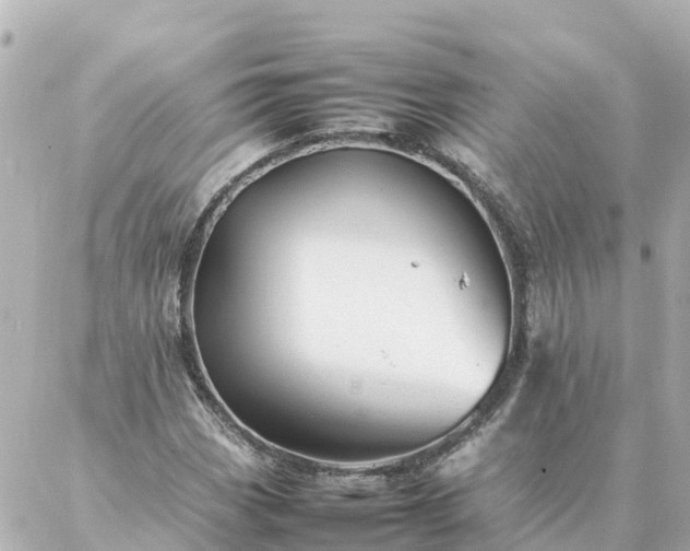 X0000086991113200704231838