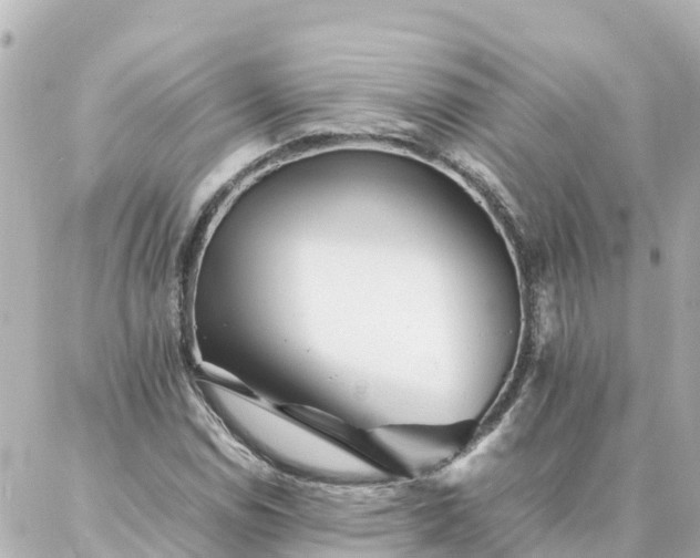 X0000086991114200704231838