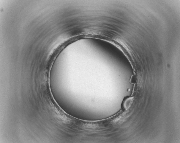 X0000086991115200704231838