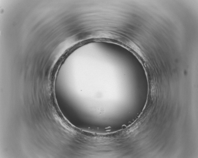 X0000086991116200704231838