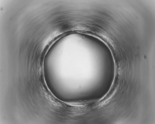 X0000086991117200704231838