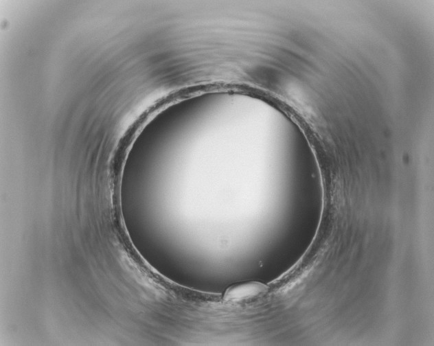 X0000086991118200704231838