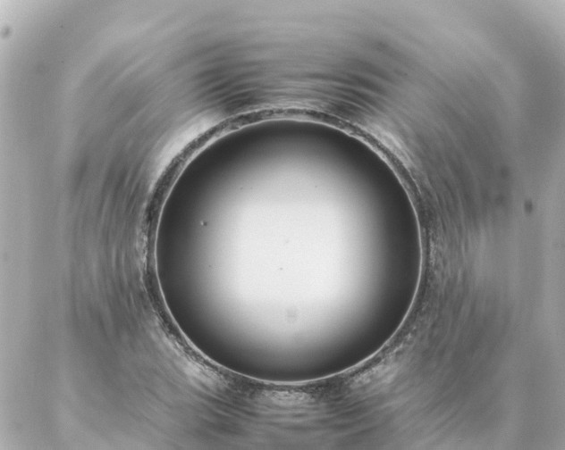 X0000086991119200704231838