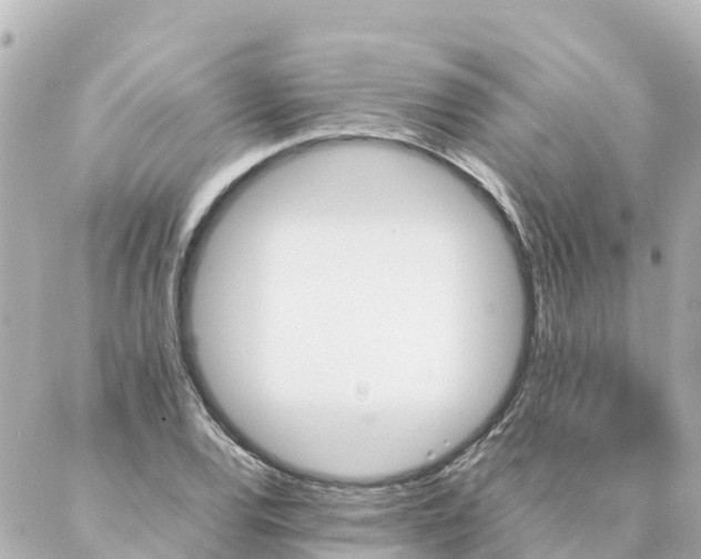 X0000086991120200704231838