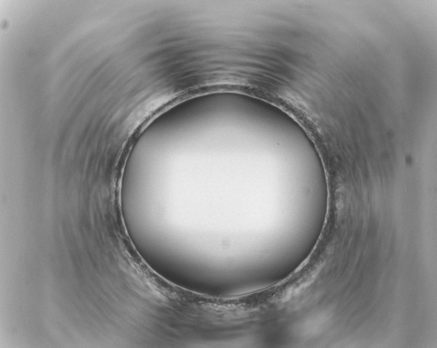 X0000086991121200704231838