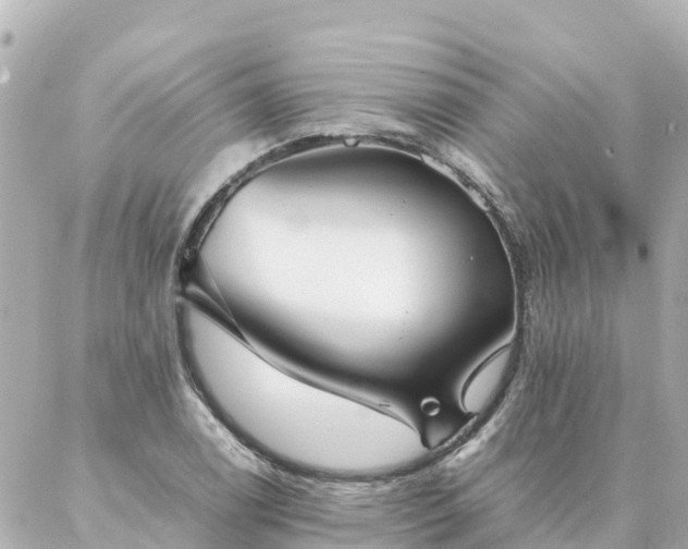 X0000086991122200704231838