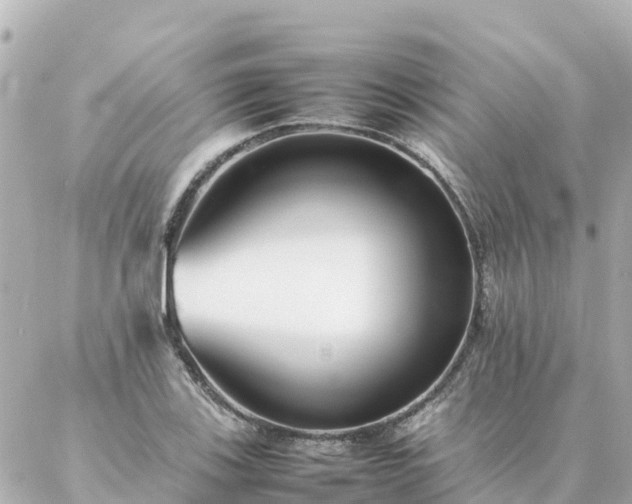 X0000086991123200704231838